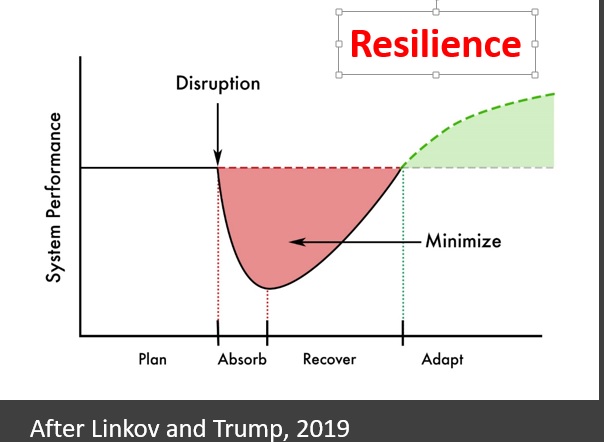 Resilience: Prepare, absorb, recover, adapt